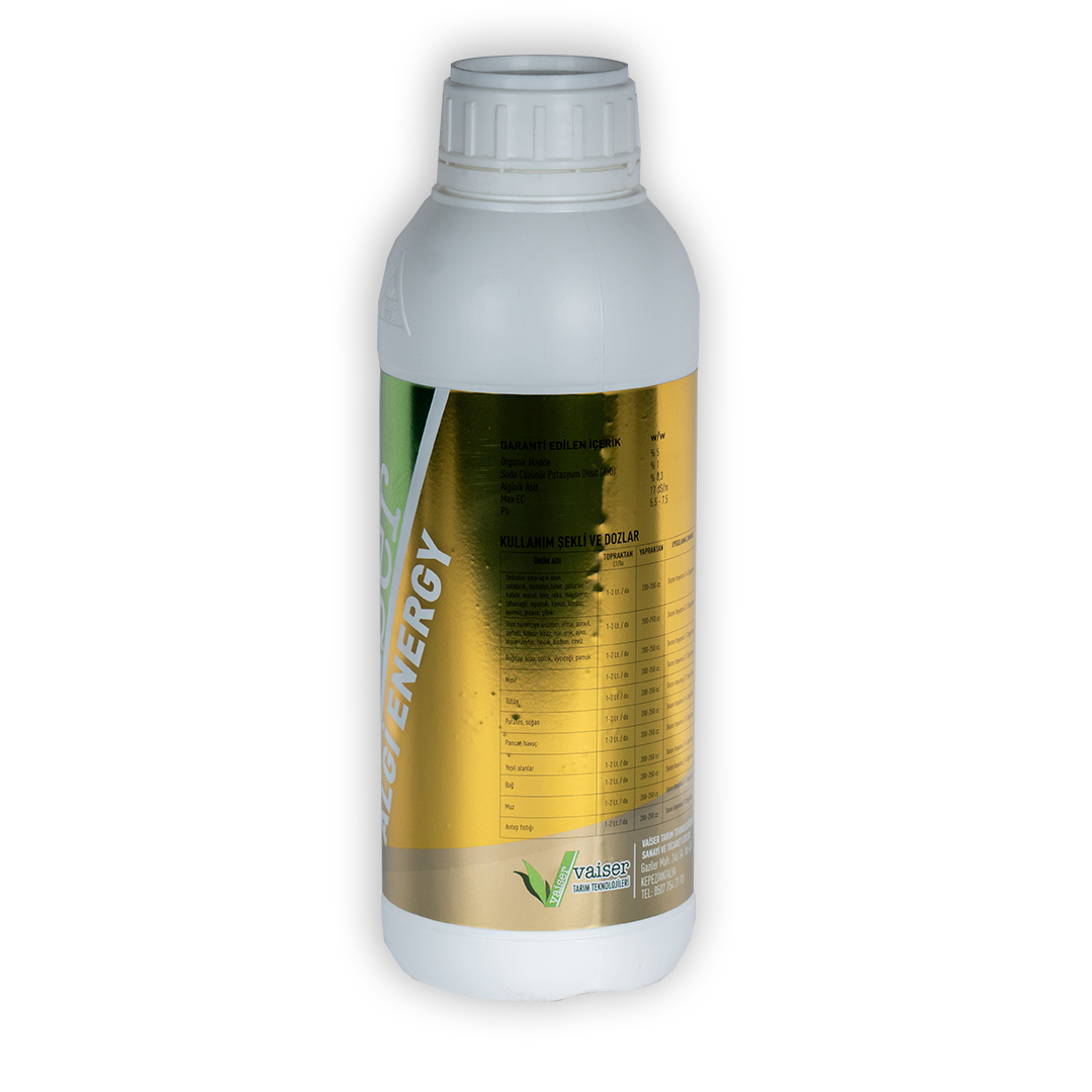 algi-energy-yan-1