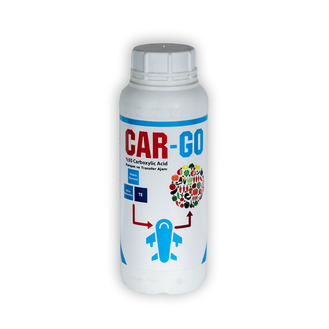 car-go-on