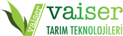 logoe-1